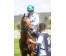  Carrera: P.Valderas Caballo: Octans Monta: V.Janacek